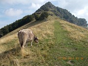 22 settembre 2018 - SASSO GORDONA, SUI SENTIERI DELLA GRANDE GUERRA - FOTOGALLERY